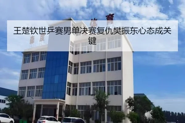 王楚钦世乒赛男单决赛复仇樊振东心态成关键