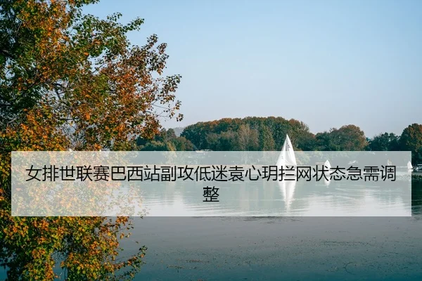 nv-pai-shi-lian-sai-ba-xi-zhan-fu-gong-di-mi-yuan-xin-yue-lan-wang-zhuang-tai-ji-xu-tiao-zheng-3-184.jpg