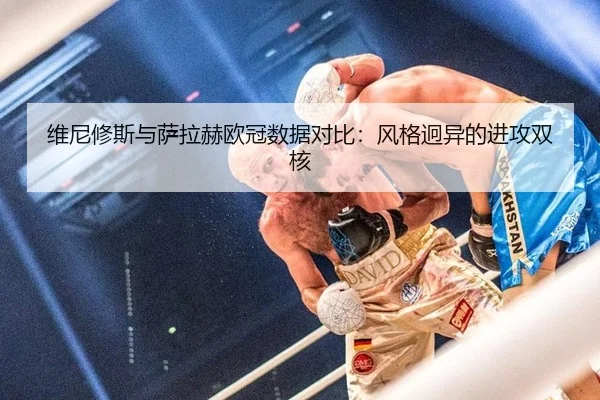 wei-ni-xiu-si-yu-sa-la-he-ou-guan-shu-ju-dui-bi-feng-ge-jiong-yi-de-jin-gong-shuang-he-3-477.jpg