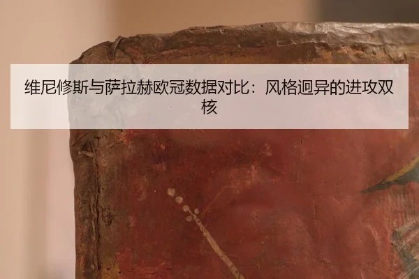 维尼修斯与萨拉赫欧冠数据对比：风格迥异的进攻双核