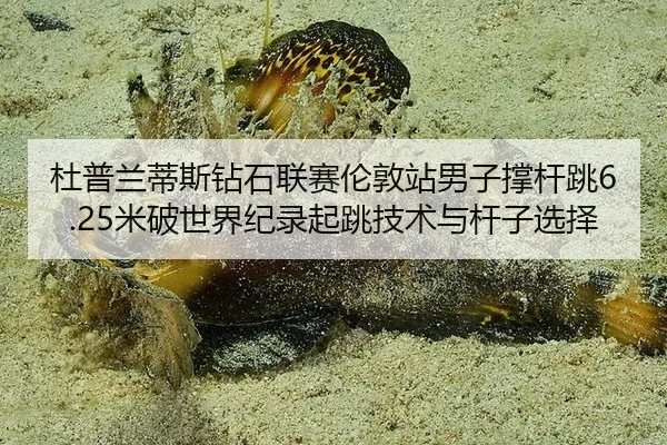 du-pu-lan-di-si-zuan-shi-lian-sai-lun-dun-zhan-nan-zi-cheng-gan-tiao-mi-po-shi-jie-ji-lu-qi-tiao-ji-shu-yu-gan-zi-xuan-2-634.jpg